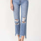 Lovervet High Rise Distressed Straight Jeans