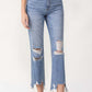 Lovervet High Rise Distressed Straight Jeans